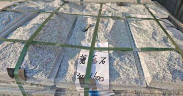 临汾芝麻白蘑菇石，自然面